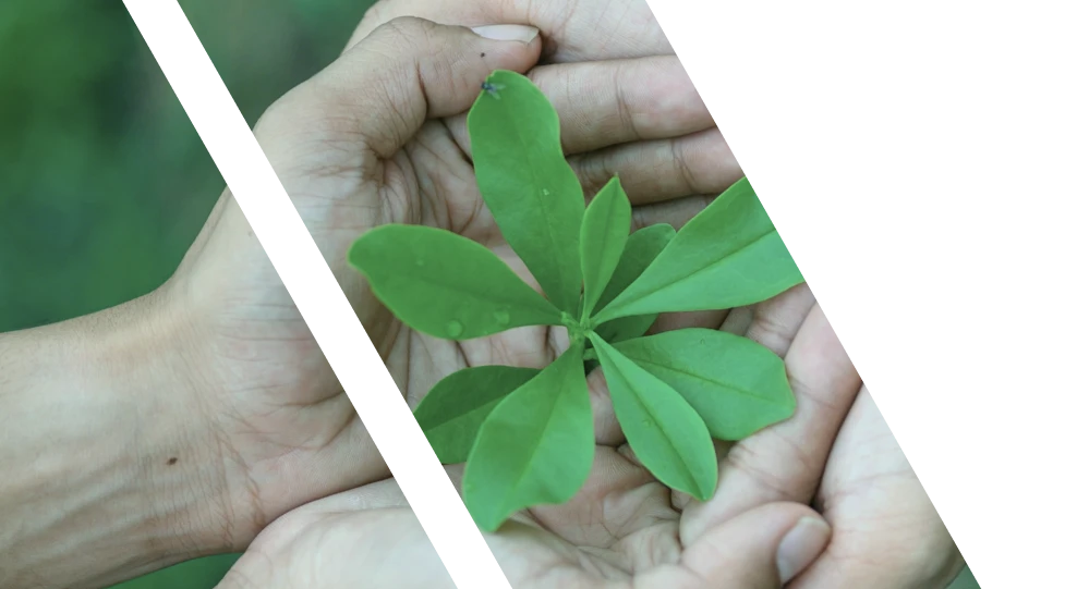 sodiasan comprometidos con el medio ambiente