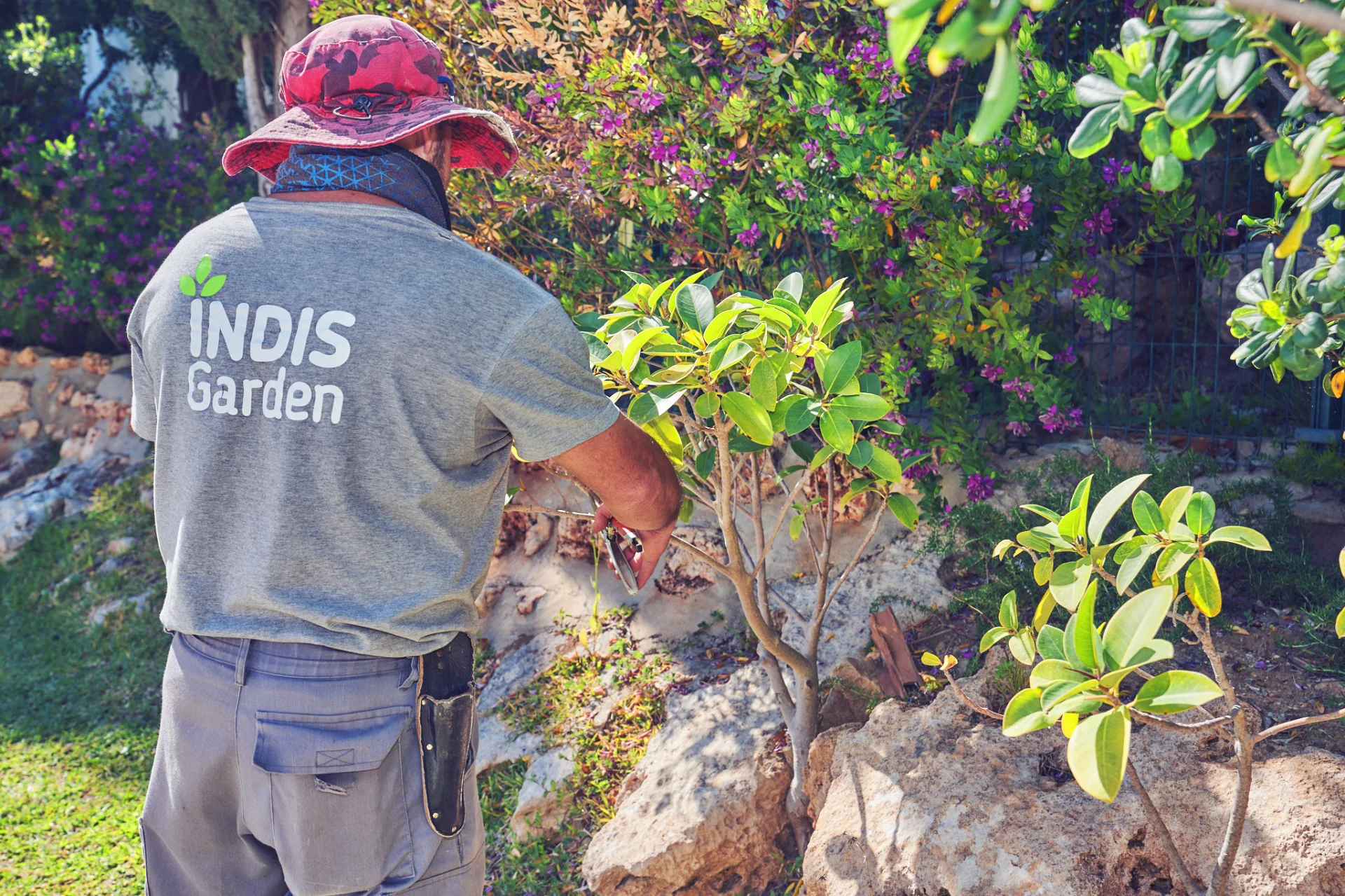 sodisan diseno de jardines