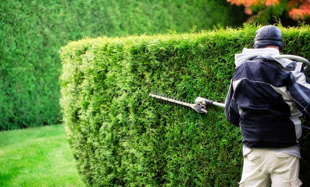 empleo jardinero Málaga